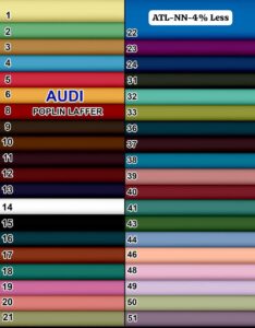 Audi 40*40 Poplin Laffer